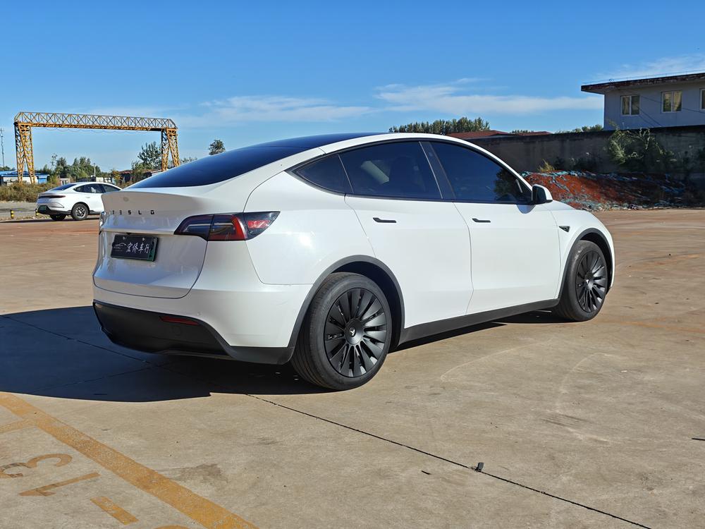 Tesla Model Y 2021 #7 Tesla Model Y 2021 car image #7