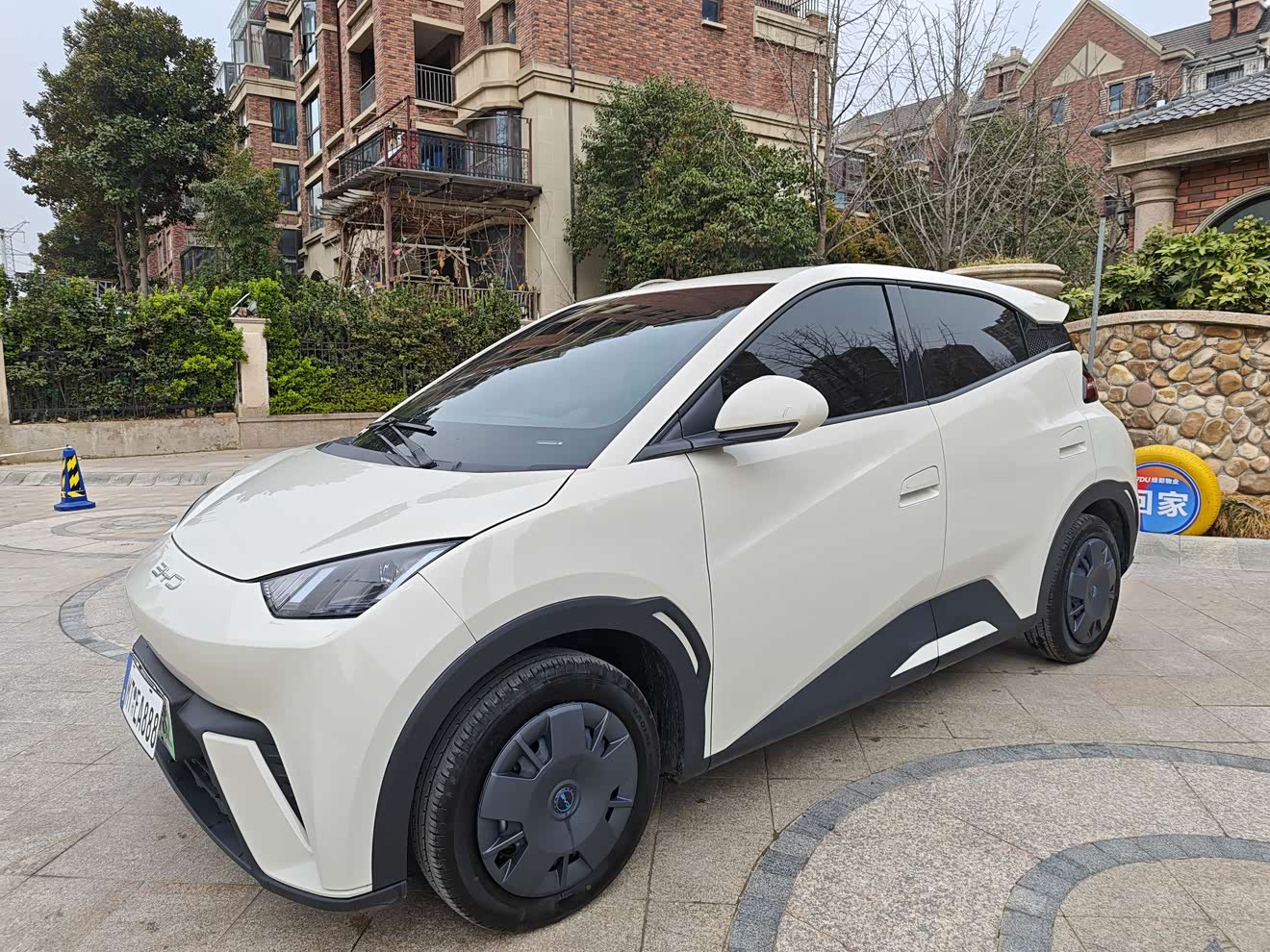 BYD Seagull 2025 immagine di auto 