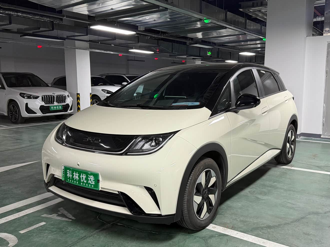 BYD Dolphin 2024 صورة سيارة 