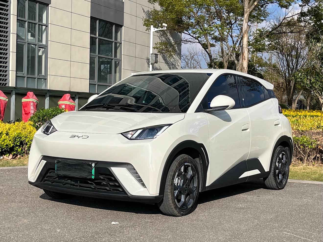 BYD Seagull 2025 immagine di auto 