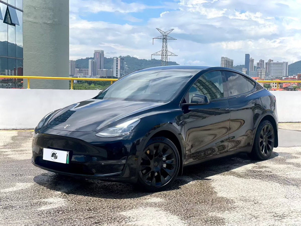 Tesla Model Y 2021 Tesla Model Y 2021 car image