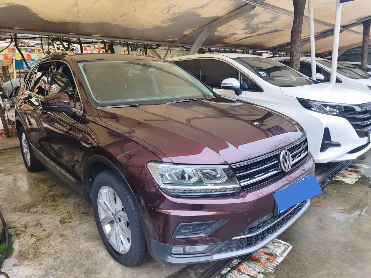 Volkswagen Tiguan 2019 汽车图片 