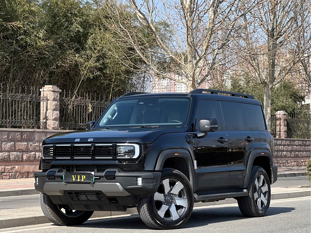 Beijing 2025 汽车图片 