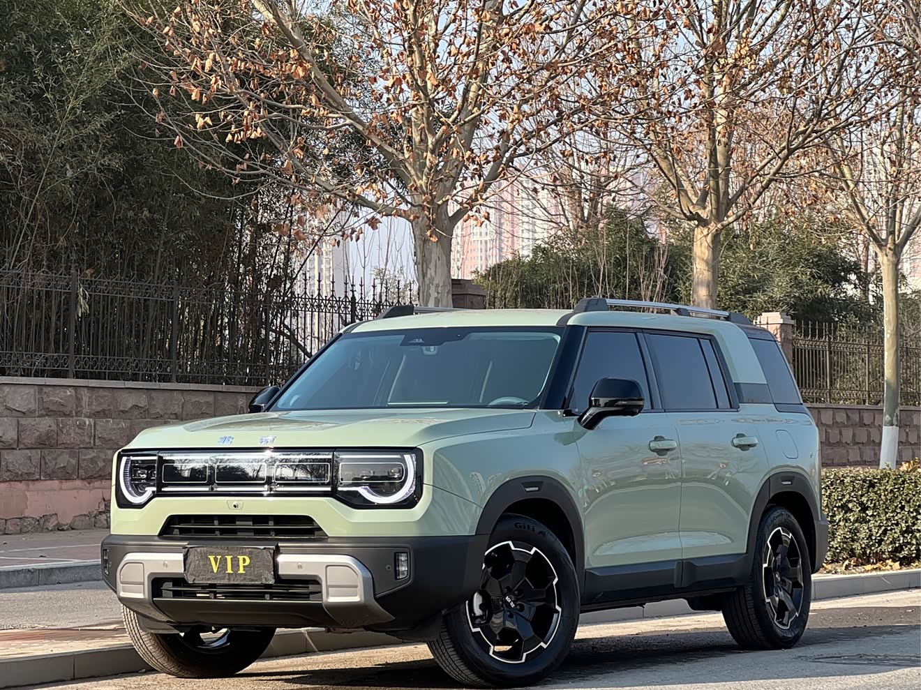 Beijing 2025 汽车图片 