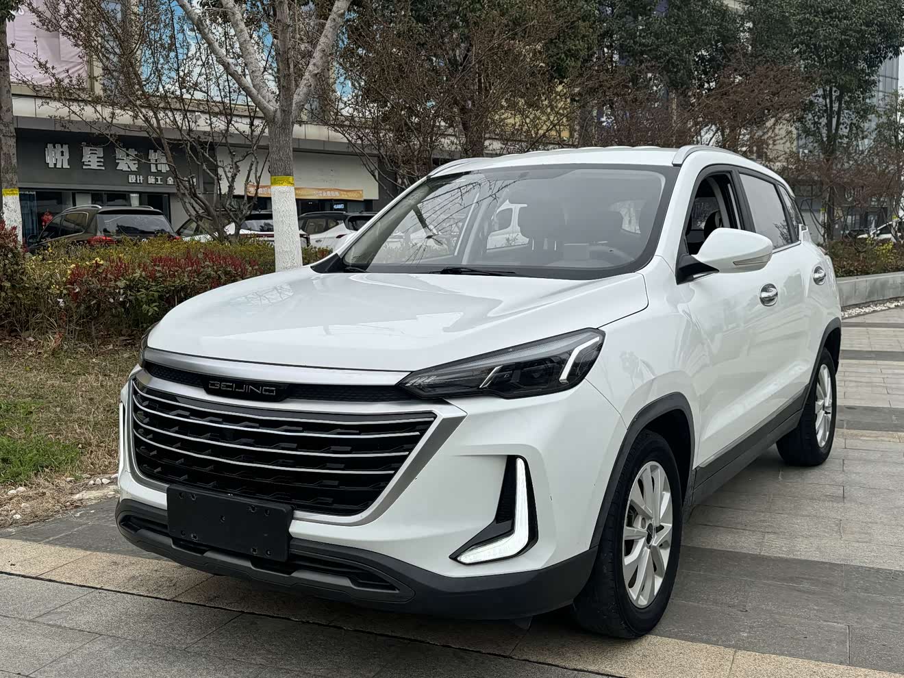 Beijing X3 2020 汽车图片 