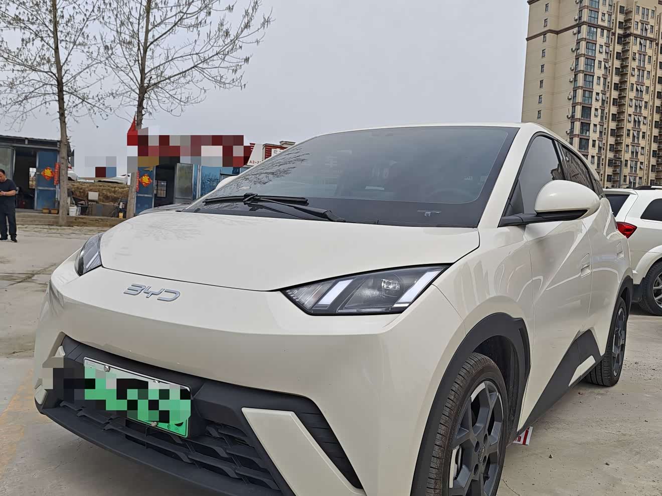 BYD Seagull 2025 immagine di auto 