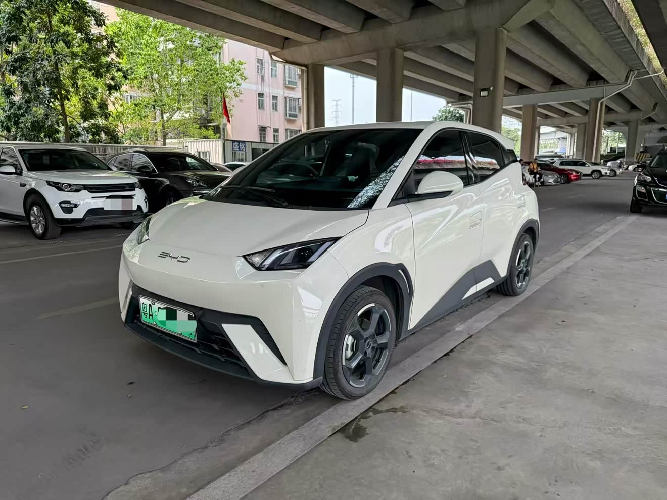 BYD Seagull 2024 immagine di auto 