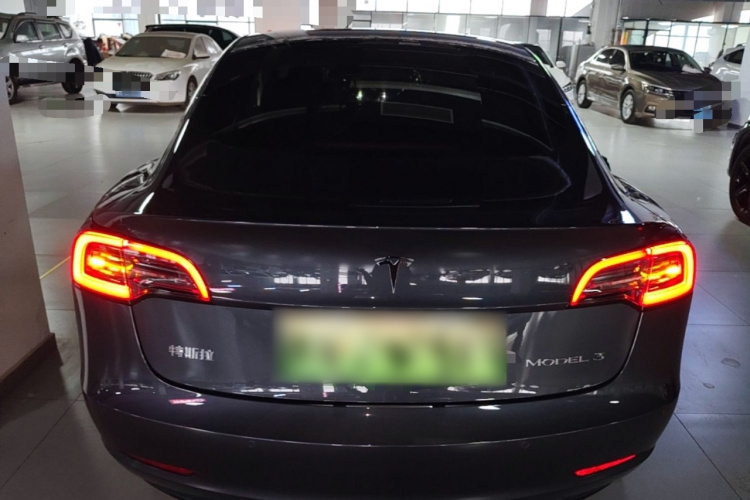 Tesla Model 3 2020 #6 Tesla Model 3 2020 car image #6