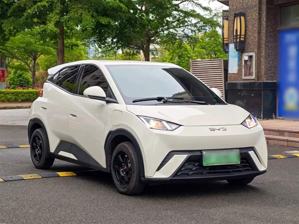 BYD Seagull 2024 immagine di auto 