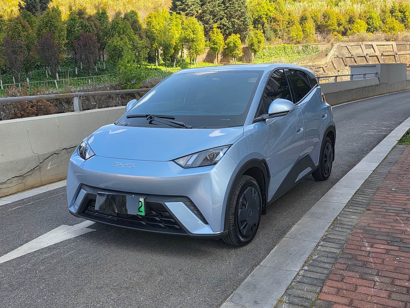 BYD Seagull 2025 immagine di auto 