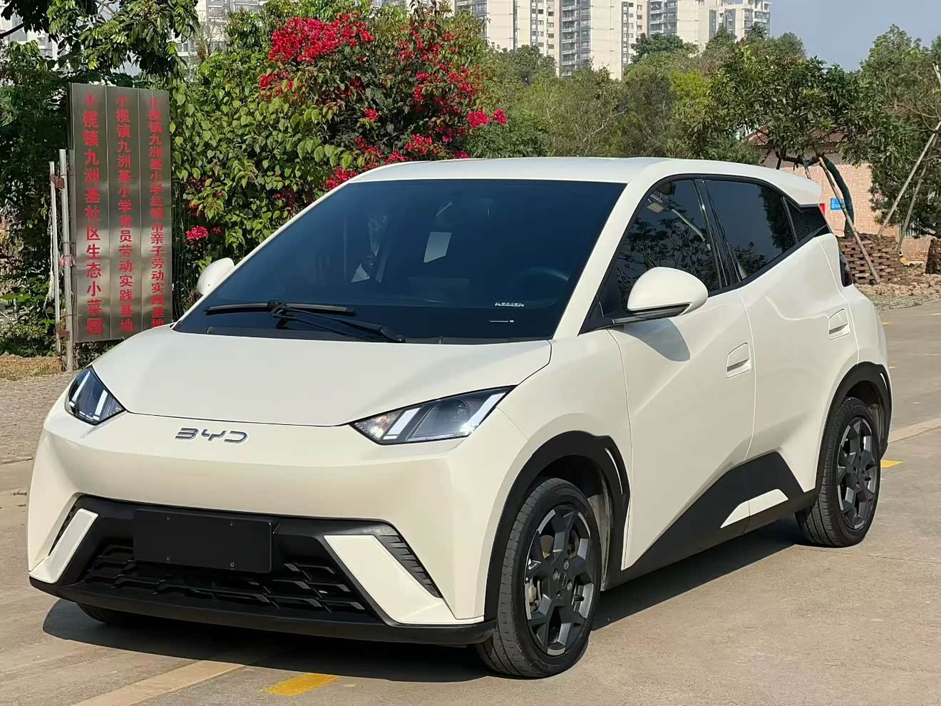 BYD Seagull 2024 immagine di auto 