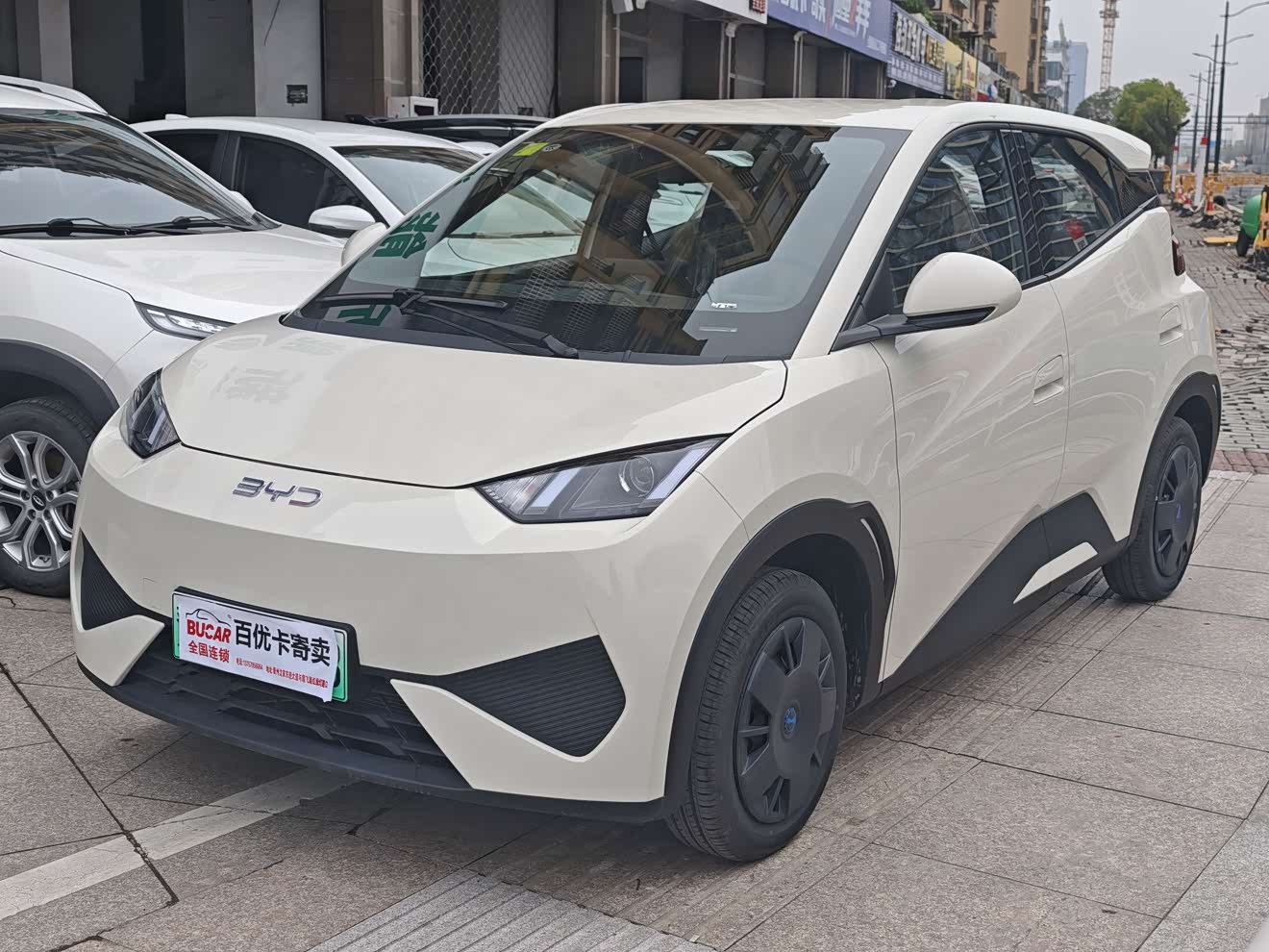 BYD Seagull 2026 immagine di auto 