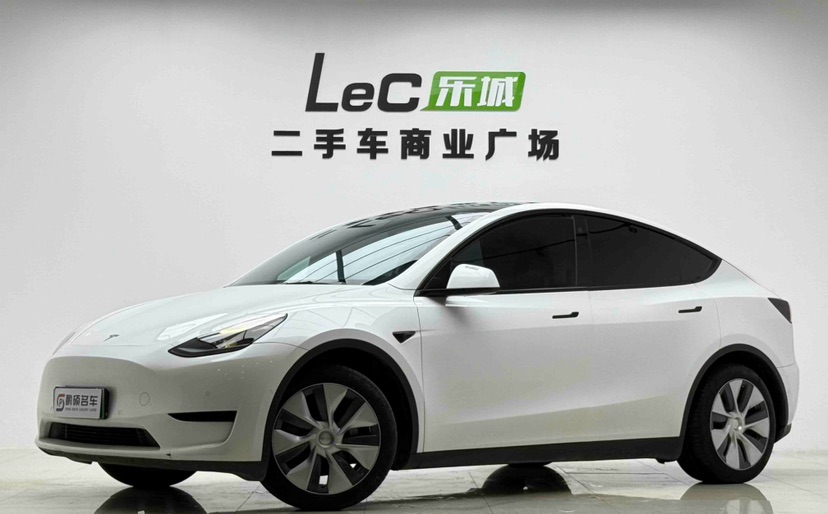 Tesla Model Y 2022 car image 