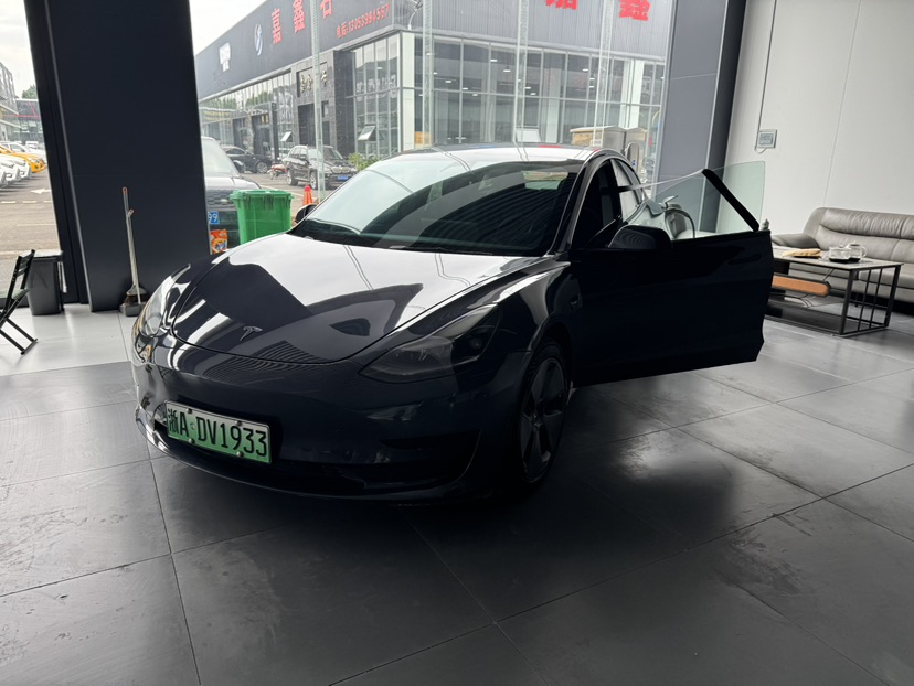 Tesla Model 3 2021 car image 