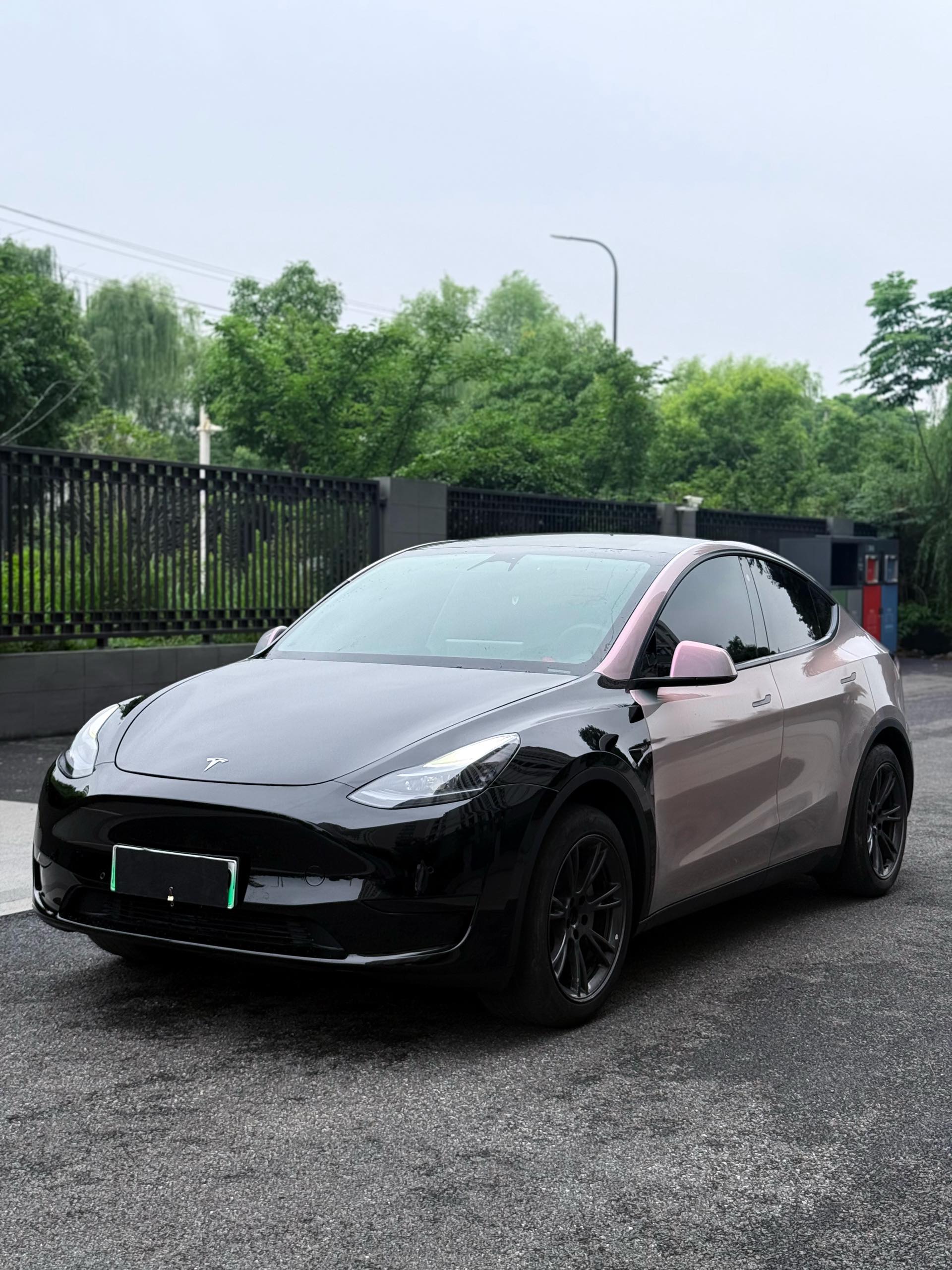 Tesla Model Y 2023 immagine di auto 