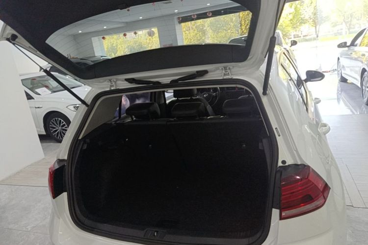 Volkswagen Golf 2019 imagen de coche #19