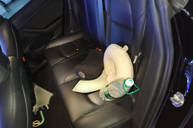 Tesla Model 3 2023 car image #13