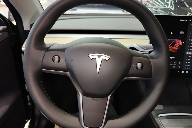 Tesla Model Y 2023 car image #11