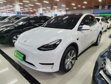 Tesla Model Y 2023 car image 