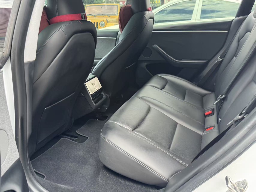 Tesla Model 3 2020 #3 Tesla Model 3 2020 car image #3