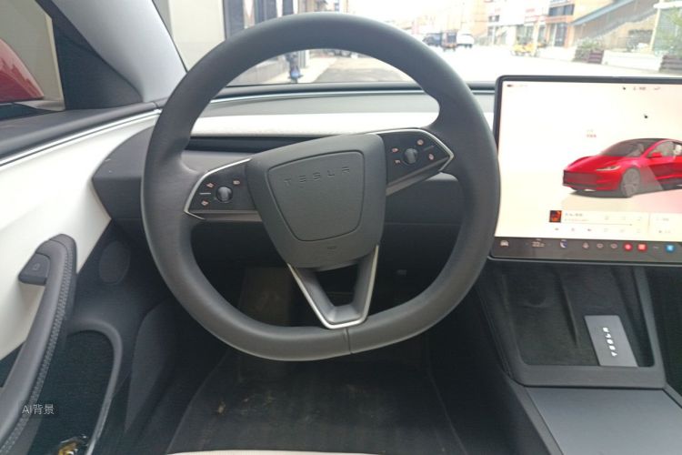 Tesla Model 3 2024 car image #12
