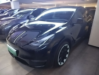 Tesla Model Y 2023 Tesla Model Y 2023 car image