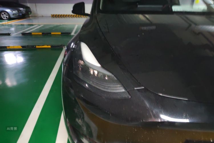 Tesla Model Y 2022 #8 Tesla Model Y 2022 car image #8