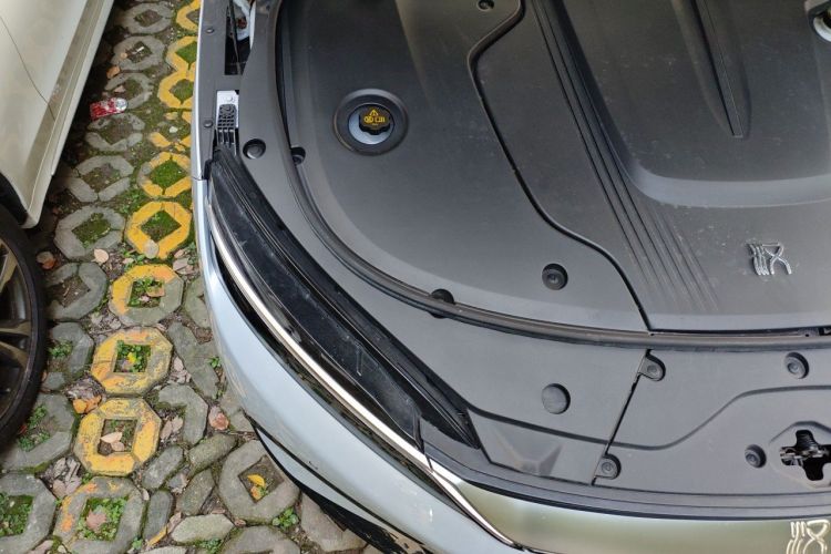 BYD Han 2024 car image #23