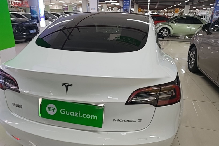 Tesla Model 3 2022 car image #6
