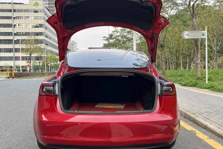 Tesla Model 3 2020 car image #21