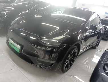 Tesla Model Y 2021 car image 