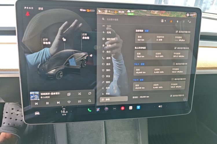 Tesla Model 3 2021 car image #12