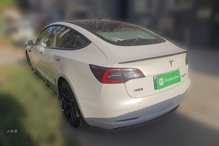 Tesla Model 3 2022 car image #5