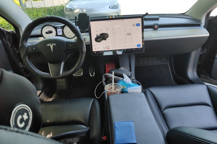 Tesla Model 3 2021 car image #11