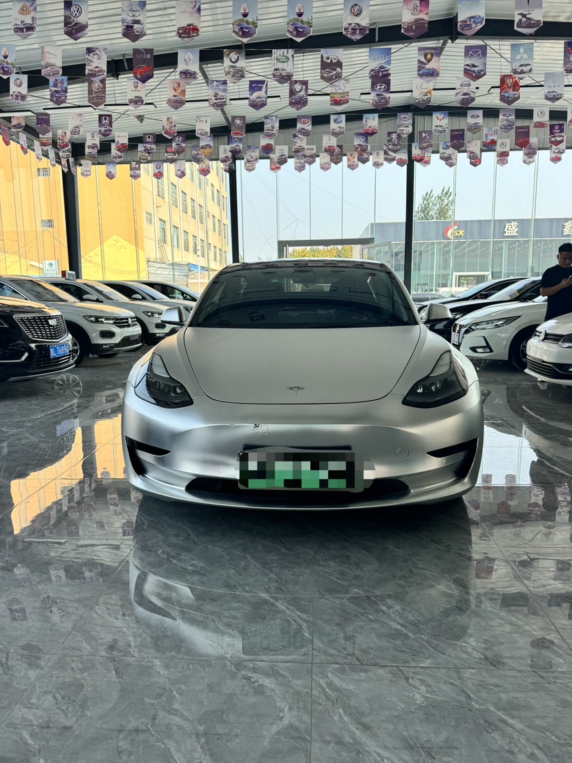 Tesla Model 3 2021 car image #2