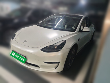 Tesla Model 3 2021 Tesla Model 3 2021 car image
