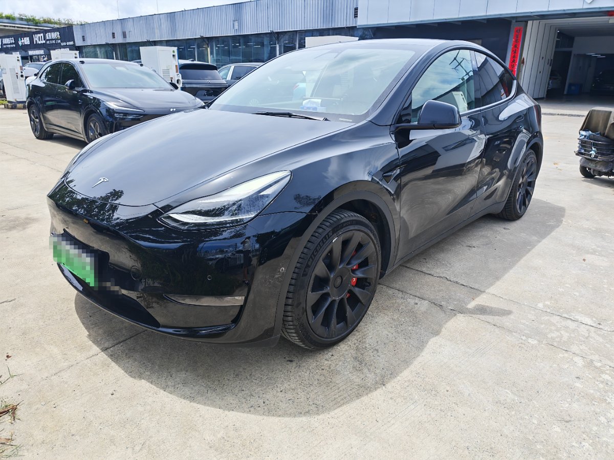 Tesla Model Y 2021 Tesla Model Y 2021 car image