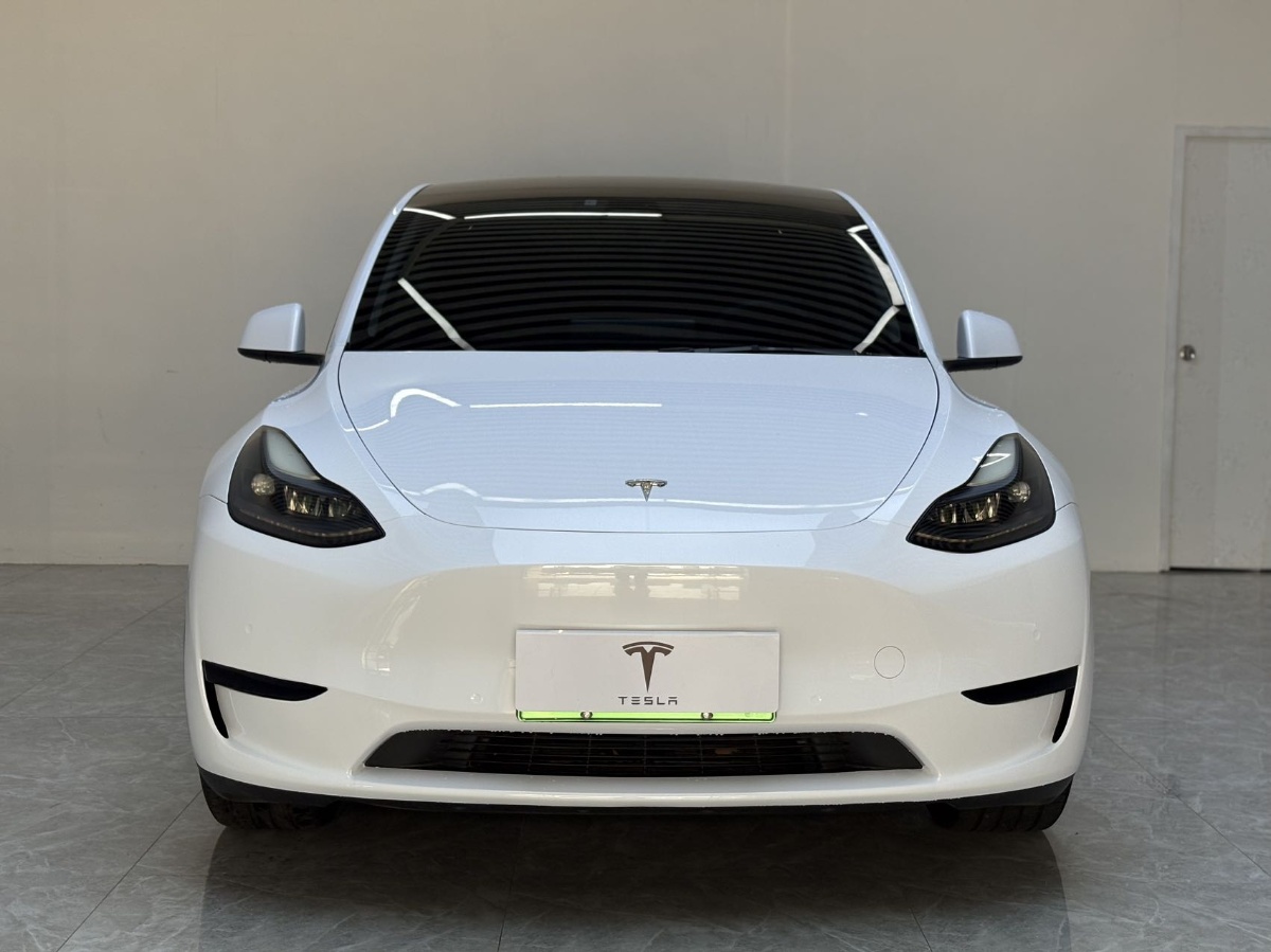 Tesla Model Y 1969 #2 Tesla Model Y 1969 car image #2