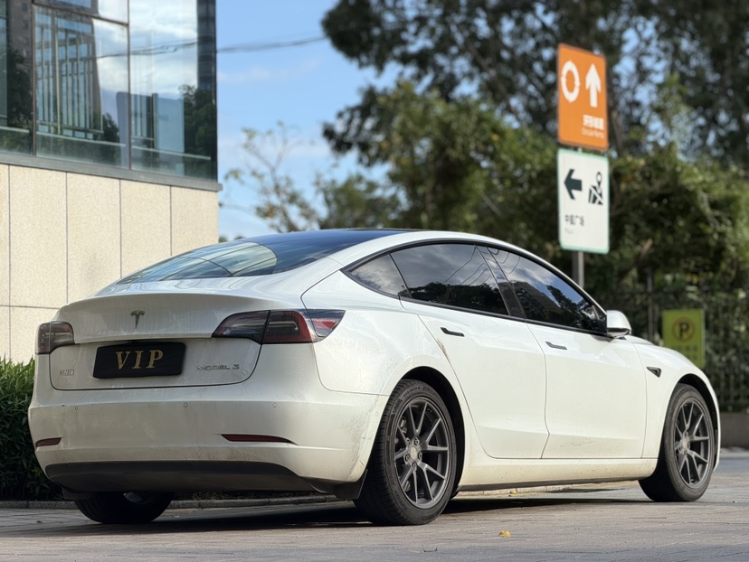 Tesla Model 3 2021 car image #6