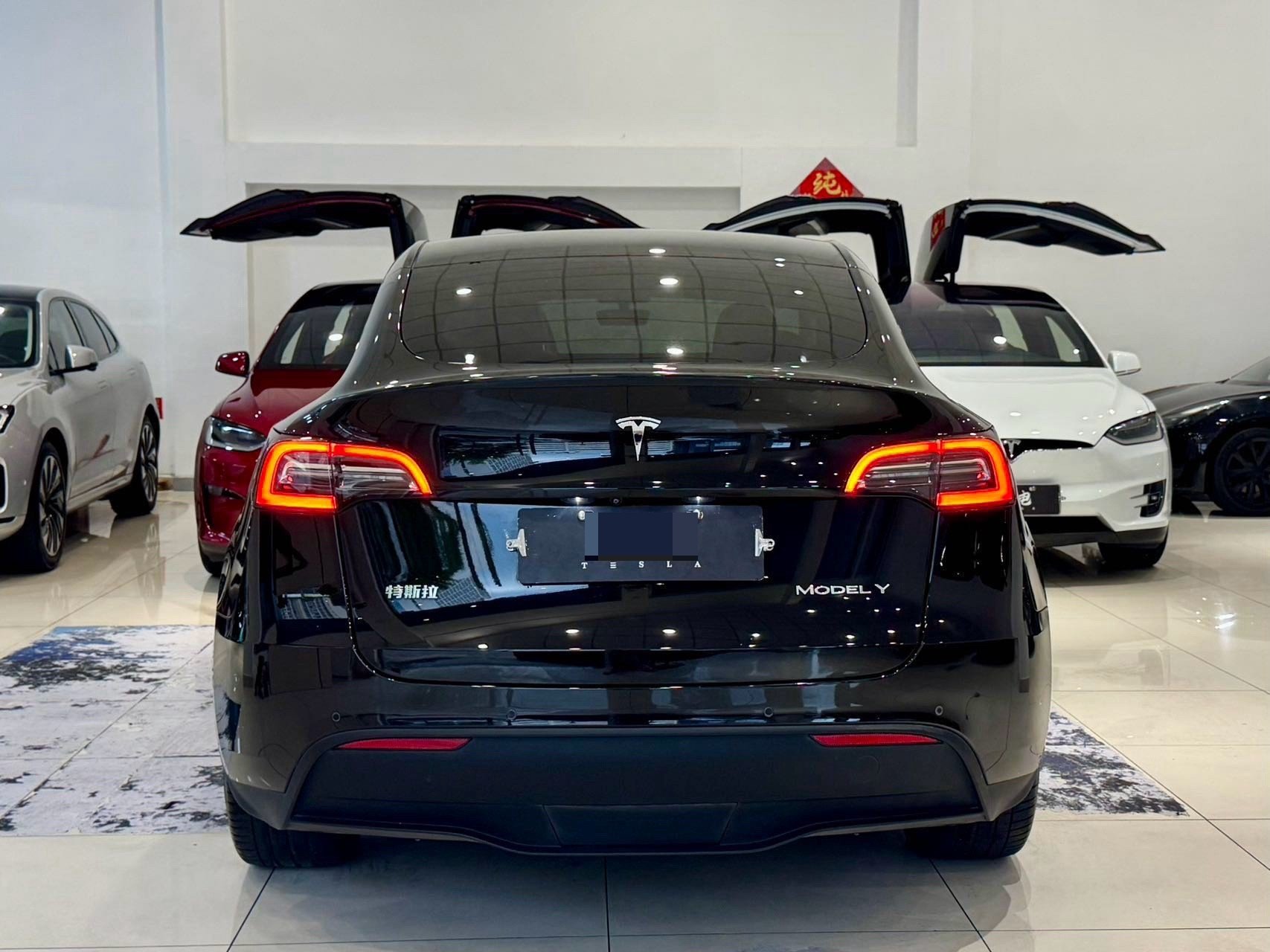 Tesla Model Y 2021 car image #13