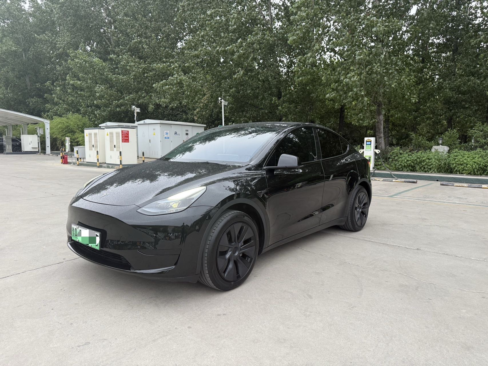 Tesla Model Y 2023 car image 