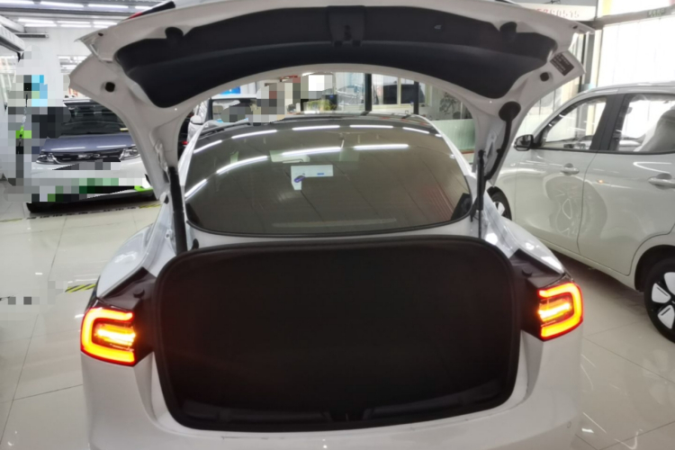 Tesla Model 3 2021 car image #19