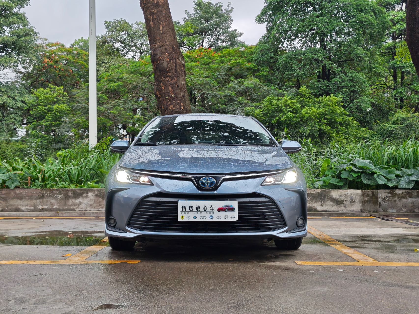 Toyota Corolla 2022 #2 Toyota Corolla 2022 car image #2