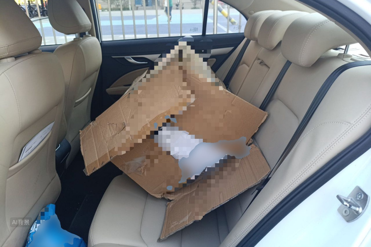 GEELY Emgrand 2018 car image #19