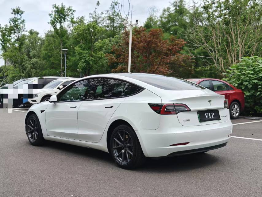 Tesla Model 3 2022 #6 Tesla Model 3 2022 car image #6