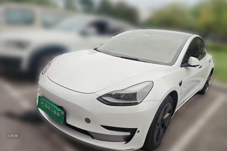 Tesla Model 3 2022 #2 Tesla Model 3 2022 car image #2