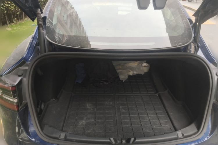 Tesla Model 3 2021 #27 Tesla Model 3 2021 car image #27