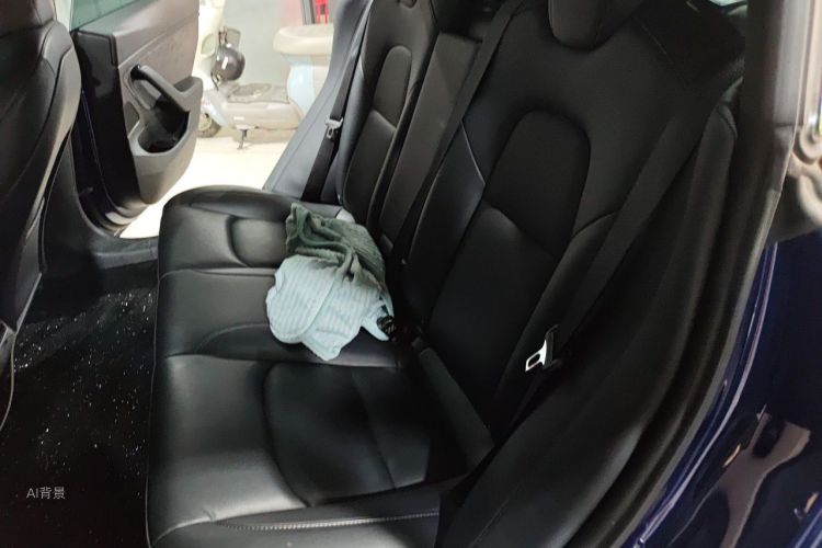 Tesla Model 3 2020 car image #19