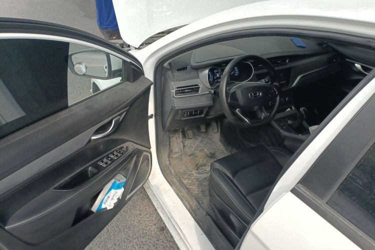 GEELY Emgrand 2021 car image #9