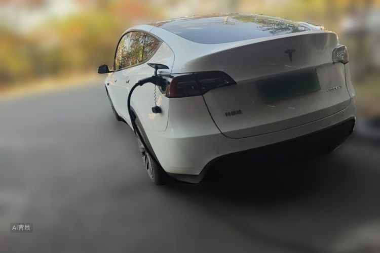 Tesla Model Y 2024 #5 Tesla Model Y 2024 car image #5
